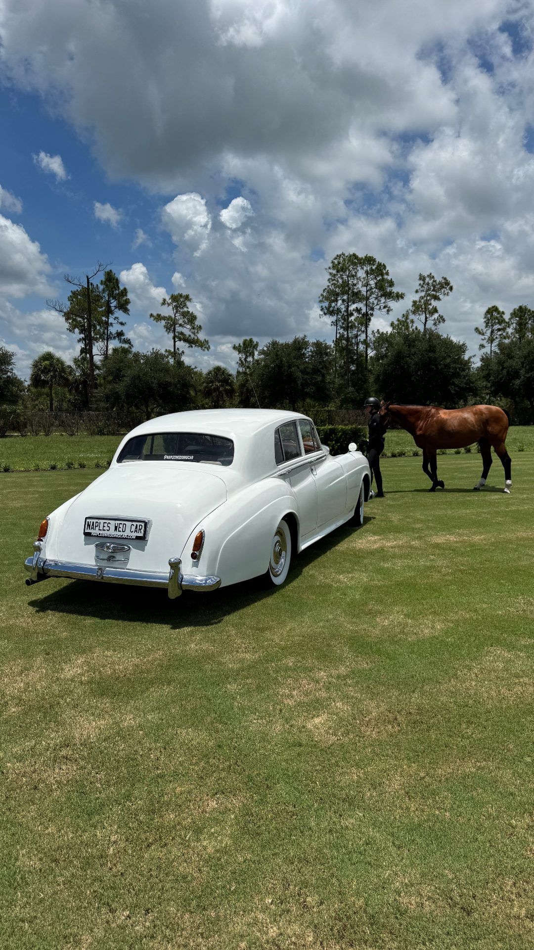 Shore Acres Farm Wedding — Naples, FL Rear view of the vintage white Rolls-Royce Silver Cloud II beside a chestnut horse and groom on the lawn at Shore Acres Farm in Naples, Florida
