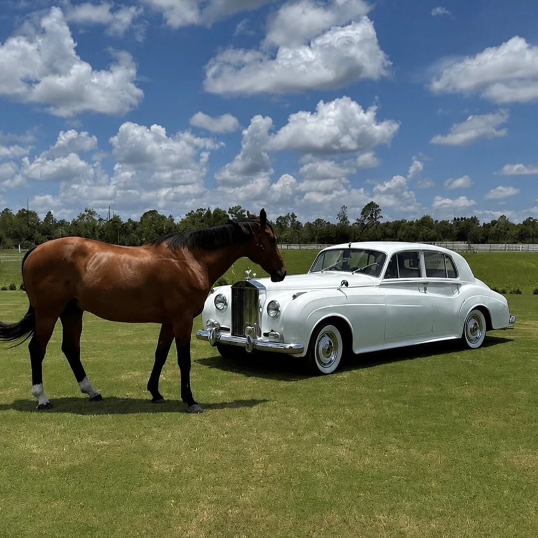 Vintage white Rolls Royce Silver Cloud II beside a bay horse in the pasture at Shore Acres Farm in Southwest Florida
