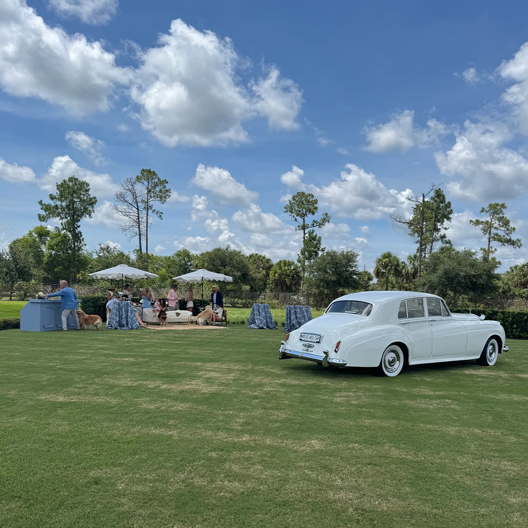 Vintage white Rolls Royce Silver Cloud II on the lawn beside a wedding reception at Shore Acres Farm in Southwest Florida
