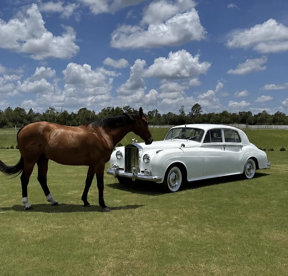 Vintage white Rolls-Royce Silver Cloud II wedding transportation beside a chestnut horse in a Naples Florida pasture